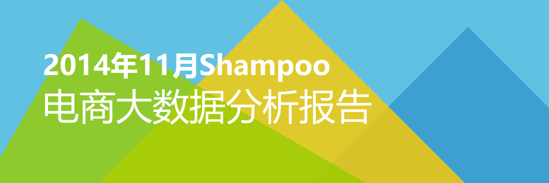 2014年11月Shampoo电商大数据报告
