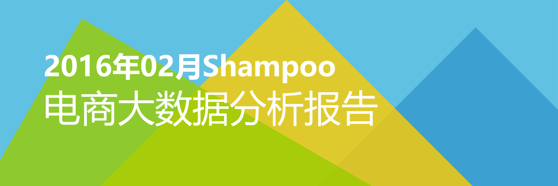 2016年02月Shampoo电商大数据报告