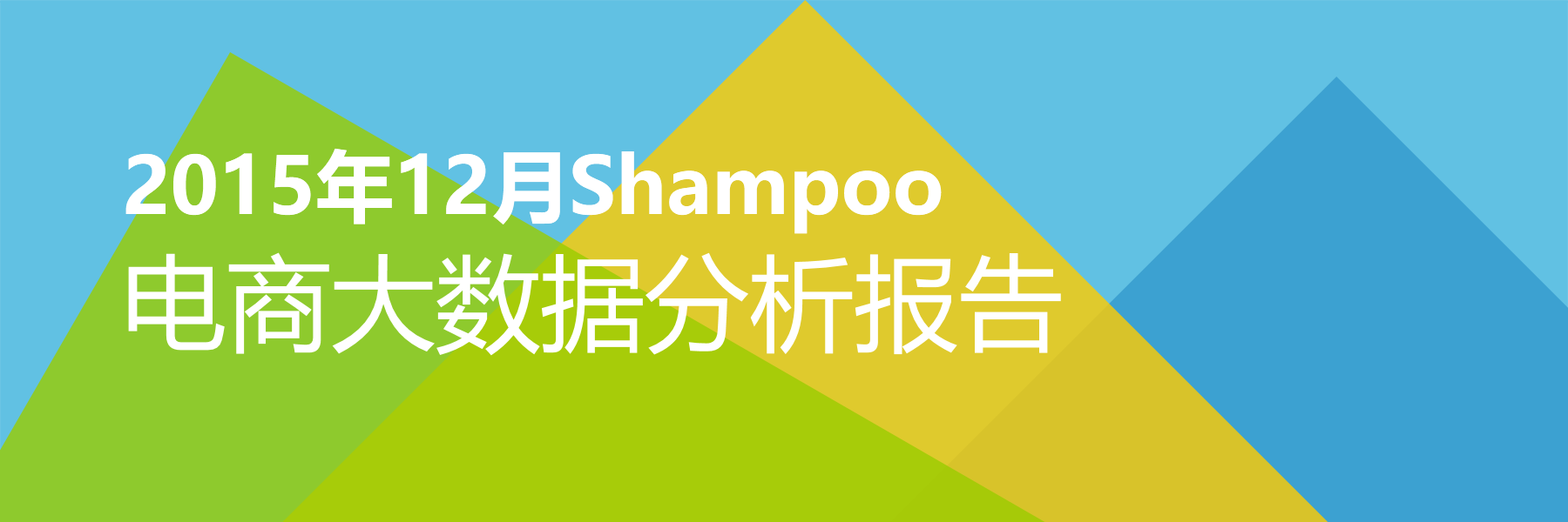 2015年12月Shampoo电商大数据报告