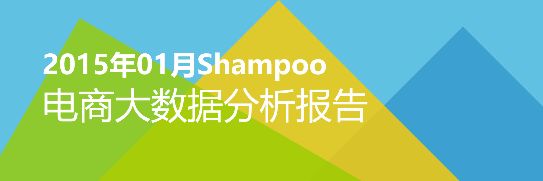 2015年01月Shampoo电商大数据报告